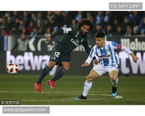 西安网球队灵活性探讨：提升竞技水平与团队协作的关键因素